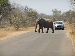 Suedafrika (182)